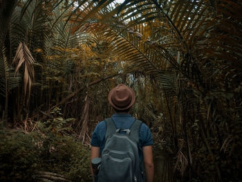 Rear view of man standing by palm tree