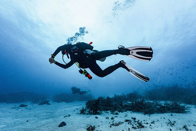 Scuba diver exploring the great barrier reef