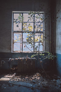 Window in abandoned room