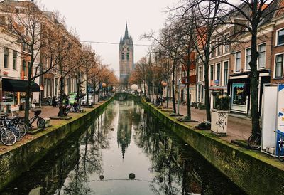Reflection of trees on water in city