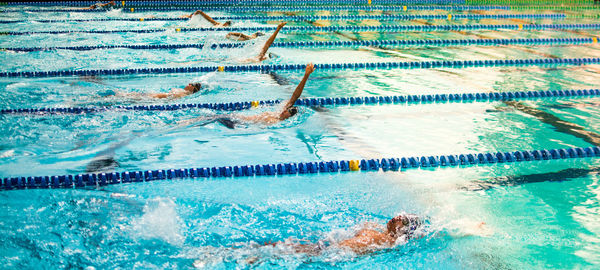 High angle view of swimmers swimming in pool