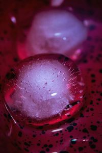 Close-up of drink on table