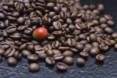 Close-up of coffee beans