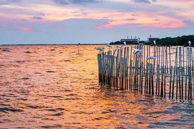 Wooden posts on beach against sky during sunset