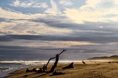 Scenic view of beach against sky during sunset