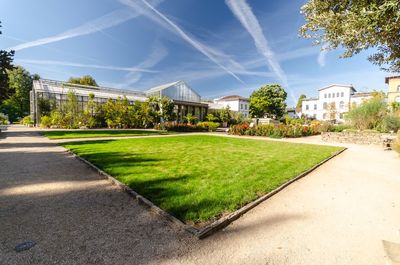 Footpath by lawn and buildings against sky