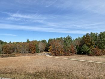 Trees growing on field against sky