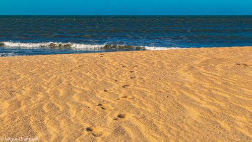 Scenic view of beach against clear sky