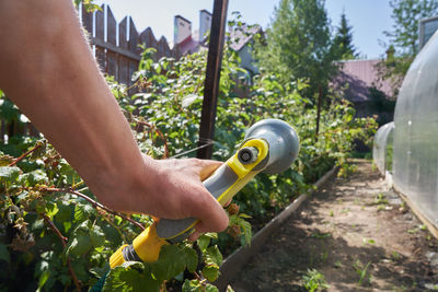 Close-up of a man's hand holding a hose for watering plants. gardening concept. high quality photo