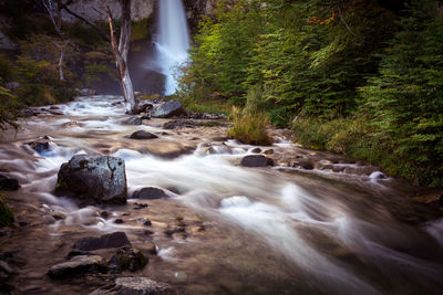 View of waterfall in forest