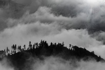 Low angle view of silhouette trees against sky