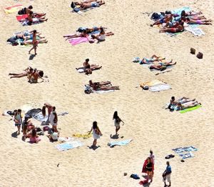 High angle view of people at beach during sunny day