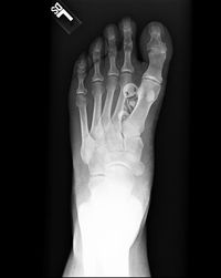 Close-up view of art over black background