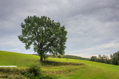 Naturschutzgebiet hölle