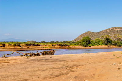 Scenic view of beach against clear sky