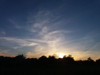 Silhouette trees against sky during sunset