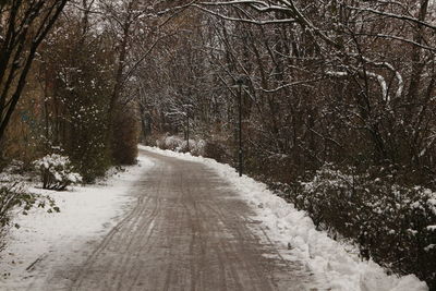 Road amidst trees in forest during winter