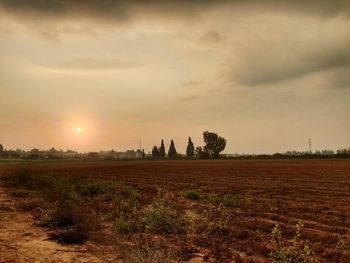 Scenic view of field against sky during sunset