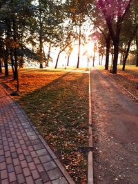 Footpath amidst trees at park during sunset