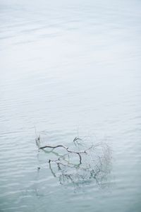 Scenic view of lake