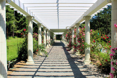 View of potted plants in greenhouse