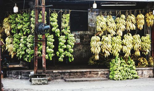 Street view alappy kerala