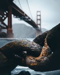 Close-up of rusty metallic chain against bridge at coastline