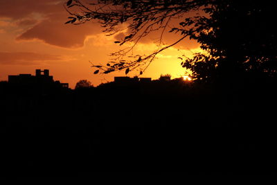 Silhouette trees against orange sky