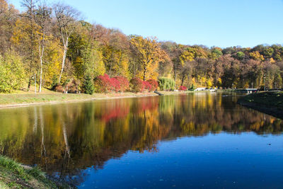 Reflection of trees in calm lake