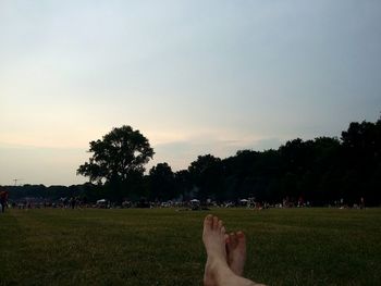 Grassy field against sky