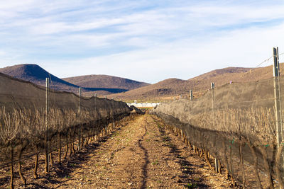 Empty road along landscape and mountains against sky