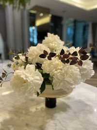 Close-up of white flowering plant on table