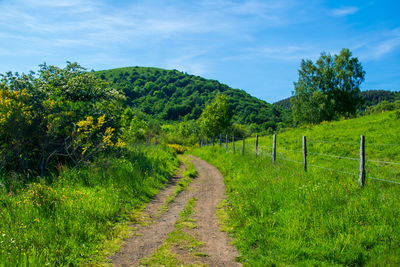 View from the puy-des-goules volcano hiking trail