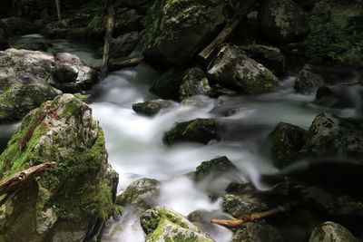 Scenic view of waterfall in forest