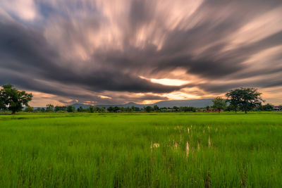 Scenic view of field against sky during sunset