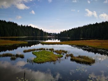 Scenic view of lake in forest against sky