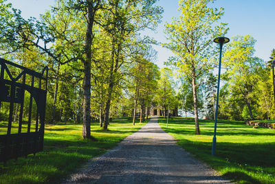 Footpath amidst trees