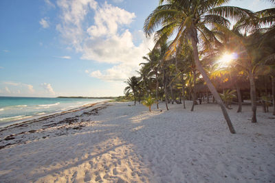 Scenic view of beach against sky on sunny day