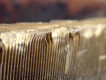 Macro shot of metal in wood