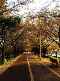 Road amidst trees against sky