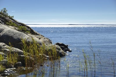 Scenic view of sea against clear sky