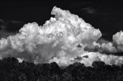 Low angle view of cloudy sky