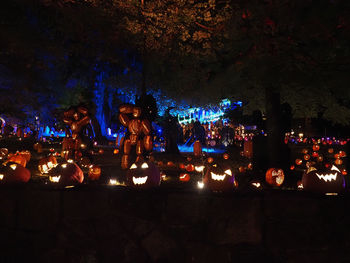 People by illuminated trees at night