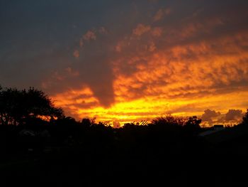 Silhouette trees against dramatic sky during sunset