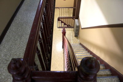 Low angle view of a cat