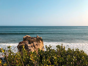 Scenic view of sea against clear sky