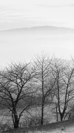 Bare trees on landscape against sky