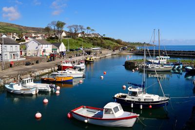 Boats moored in harbor