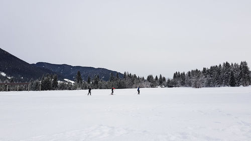 People cross country skiing, snow, winter, recreation, sports.