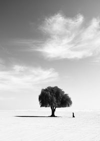 Woman walking on dessert against sky